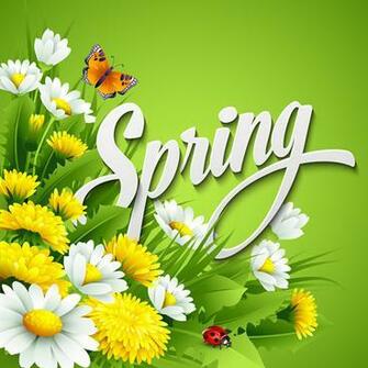 Spring Flowers Butterfly Vector In Adobe