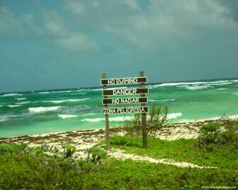 Best Cozumel Wallpaper Reefs
