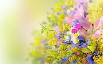 Summer Wallpaper HD Net