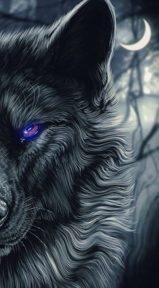 Black Wolf Wallpaper