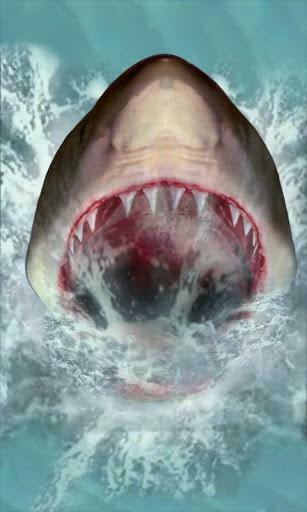 Bigger Shark Attack Live Wallpaper For Android Screenshot