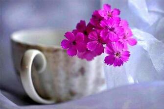 Colorful Good Morning Wallpaper
