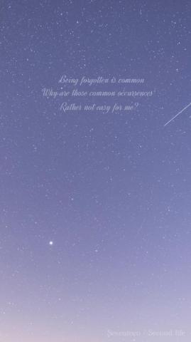 Seventeen Lyrics