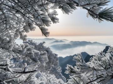 Wallpaper China Huangshan Mountains Pine Frost Snow Winter