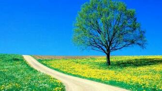 Sunny Hills Desktop Pc And Mac Wallpaper