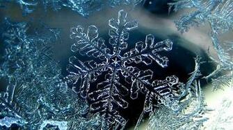 Wallpaper Snowflake Photo