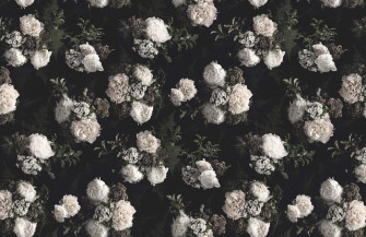 Dark Flower Aesthetic Wallpaper
