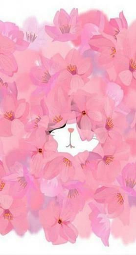 iPhone Background Wallpaper Cat Hidden Phones