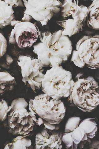 Black Floral iPhone Background Wallpaper Teahub Io