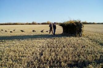 Duck And Goose Hunting Season In