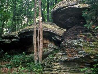 Best Shawnee National Forest Wallpaper