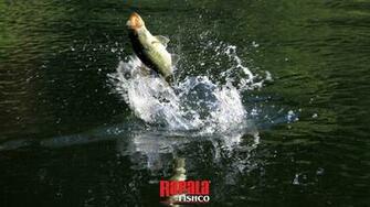 Rapala Fishco Background HD Wallpaper