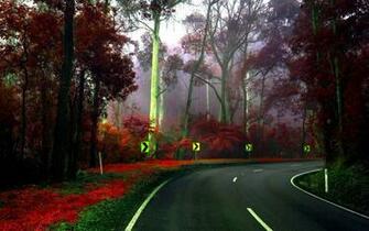 Red Forest Wallpaper Myspace Background