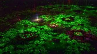 Green Glow Wallpaper
