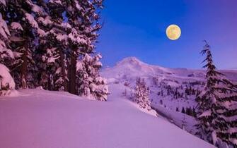 Wallpaper Winter Snow Night Moon Mountains Tree Desktop