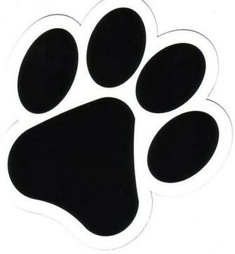 Dog Paws Wallpaper Image In Collection