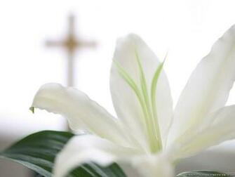 Christian Easter Wallpaper Crazy Frankenstein