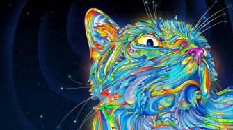 Vector Wallpaper 4k At Vectorified