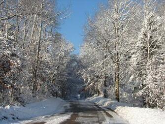 Wisconsin Woods Winter Road By Fantasystock