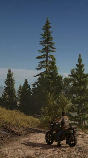 Days Gone Wallpaper On