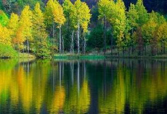 Wallpaper Water Reflection Tree Birch Autumn River Desktop