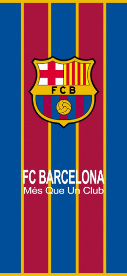 Barcelona City iPhone Wallpaper
