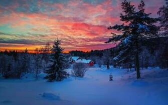 Winter Snow Sunset Wallpaper