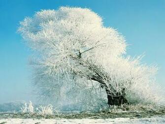 Nature Wallpaper Fabulous Desktop