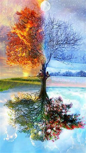 Four Seasons iPhone Wallpaper S 3g