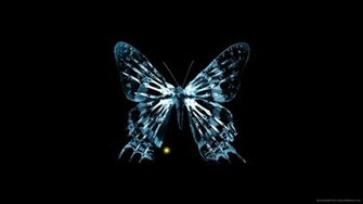 Fringe Butterfly Picture For iPhone Blackberry iPad
