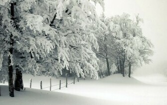 Not Out The Snow That Is Only In Mind And Our Imagination