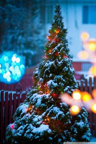 Christmas Eve 4k HD Desktop Wallpaper For Ultra Tv