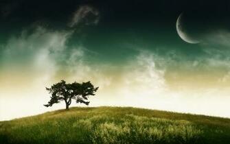 Beautiful And Amazing Wide Screen Wallpaper