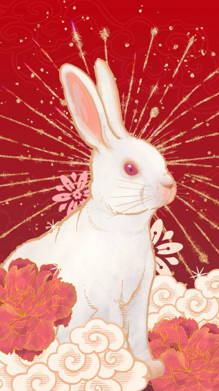 Cute Aesthetic Bunny Image Wallpaper