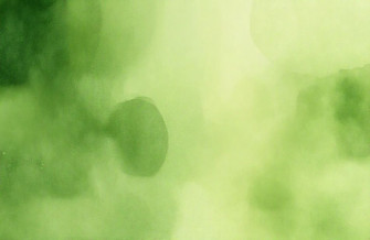 Green Color Background Wallpaper