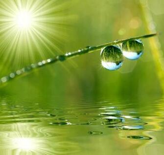 Zen Relaxation