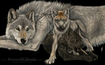 Anime Wolves Wallpaper