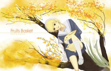 Sohma Momiji Fruits Basket Image Zerochan Anime