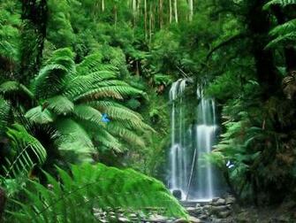 Tropical Waterfalls Wallpaper HD Jpg