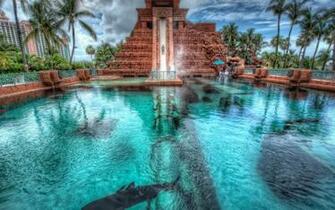Atlantis Paradise Island Wallpaper
