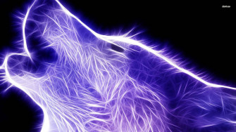 Cool Wolf Wallpaper