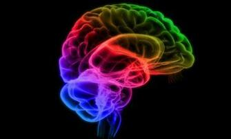Scientists Crack What Causes Schizophrenia Daily Mail Online