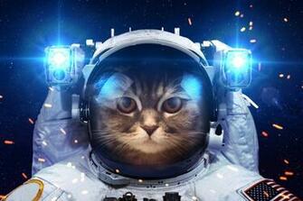 Funny Cat Dressed Up In Astronaut Space Suit Image HD Wallpaper Jpg