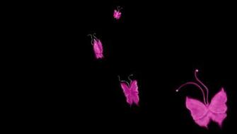 Wallpaper Pink And Black Desktop Background HD Background