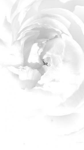 iPhone Wallpaper White Background And