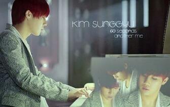 Sunggyu Sungkyu Wallpaper