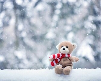 Full Size Cute Teddy Bears HD Wallpaper