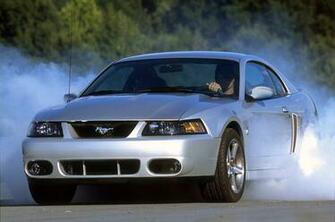 Ford Mustang Svt Cobra The Terminator Dark Cars Wallpaper
