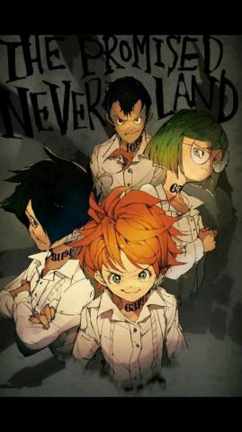 The Promised Neverland Wallpaper Enwallpaper