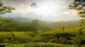 Somediffrent New Nature Wallpaper For Lover
